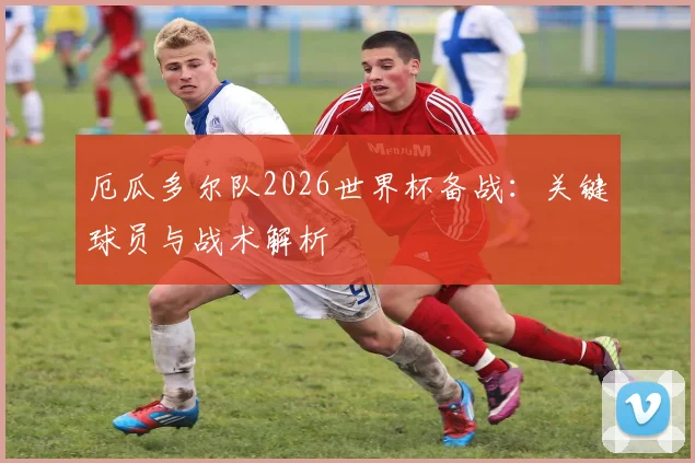 厄瓜多尔队2026世界杯备战：关键球员与战术解析